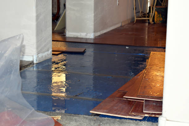 Professional Water Damage Restoration technician working in Delano, MN